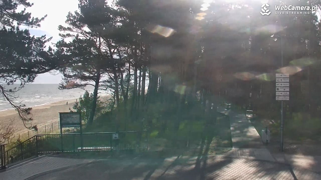 STEGNA  - widok na plażę - 08 maj 2026, 08:00