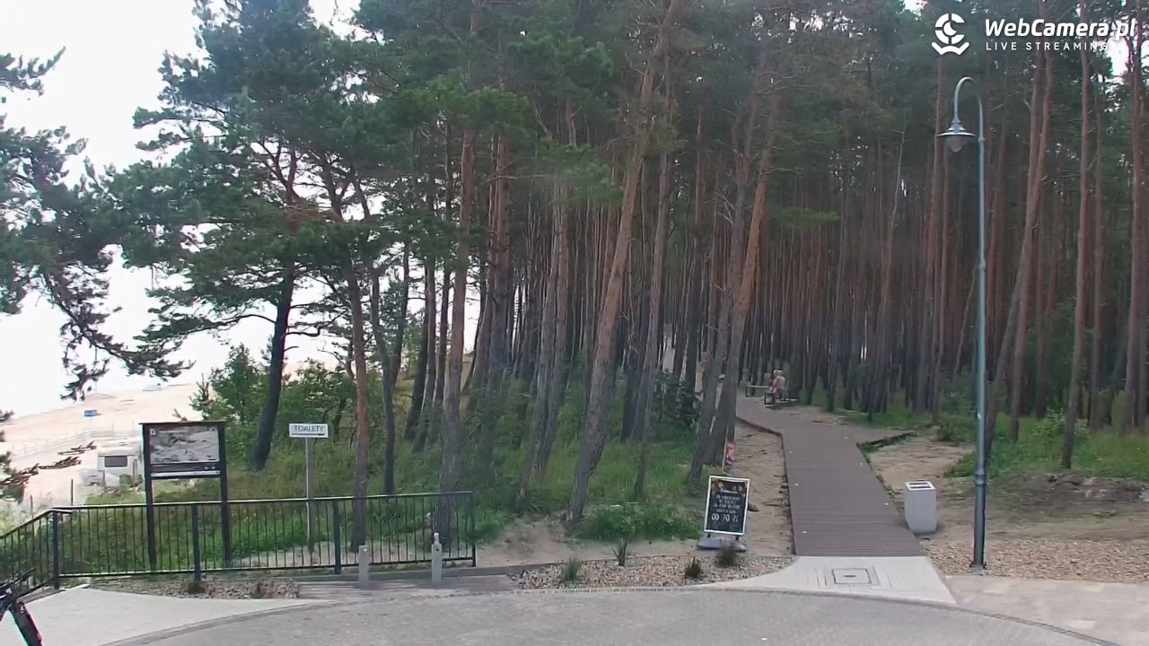 STEGNA  - widok na plażę - 27 lipiec 2025, 08:57