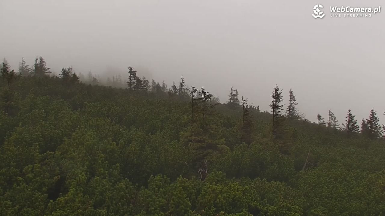 Szklarska Poręba - SZRENICA - 07 maj 2026, 12:33