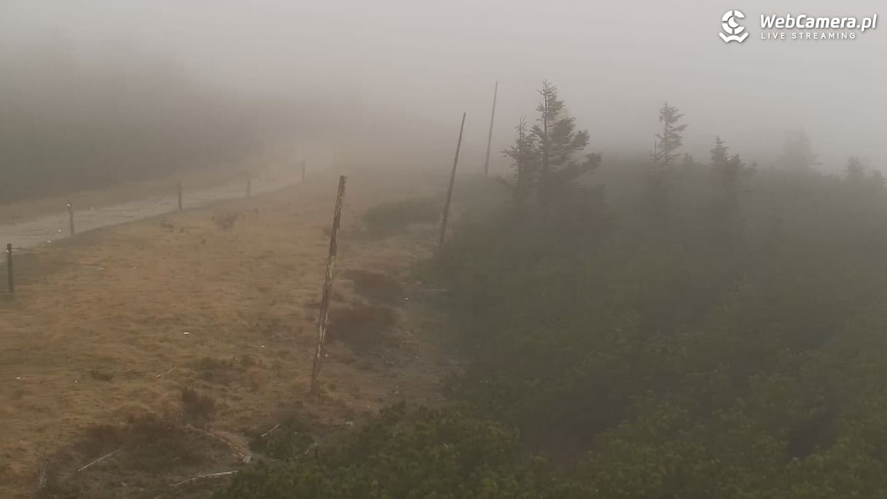 Szklarska Poręba - SZRENICA - 06 maj 2026, 10:18