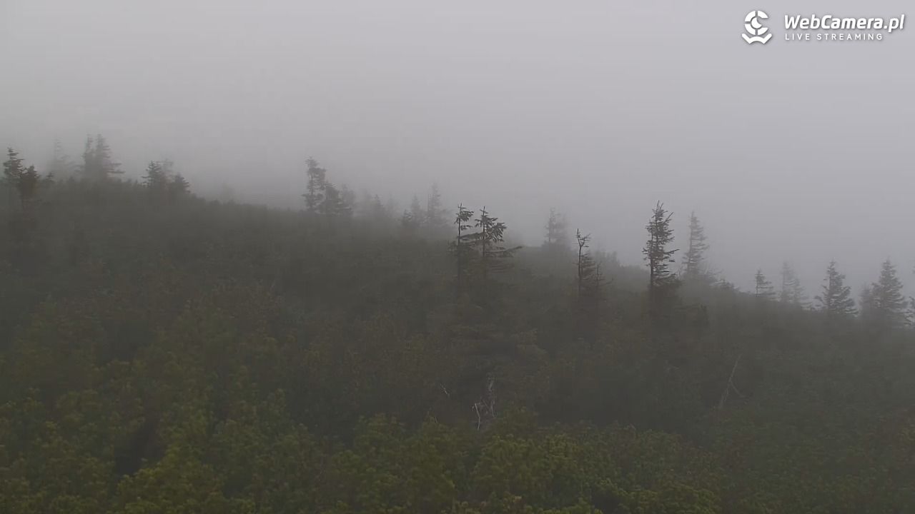 Szklarska Poręba - SZRENICA - 06 maj 2026, 07:39
