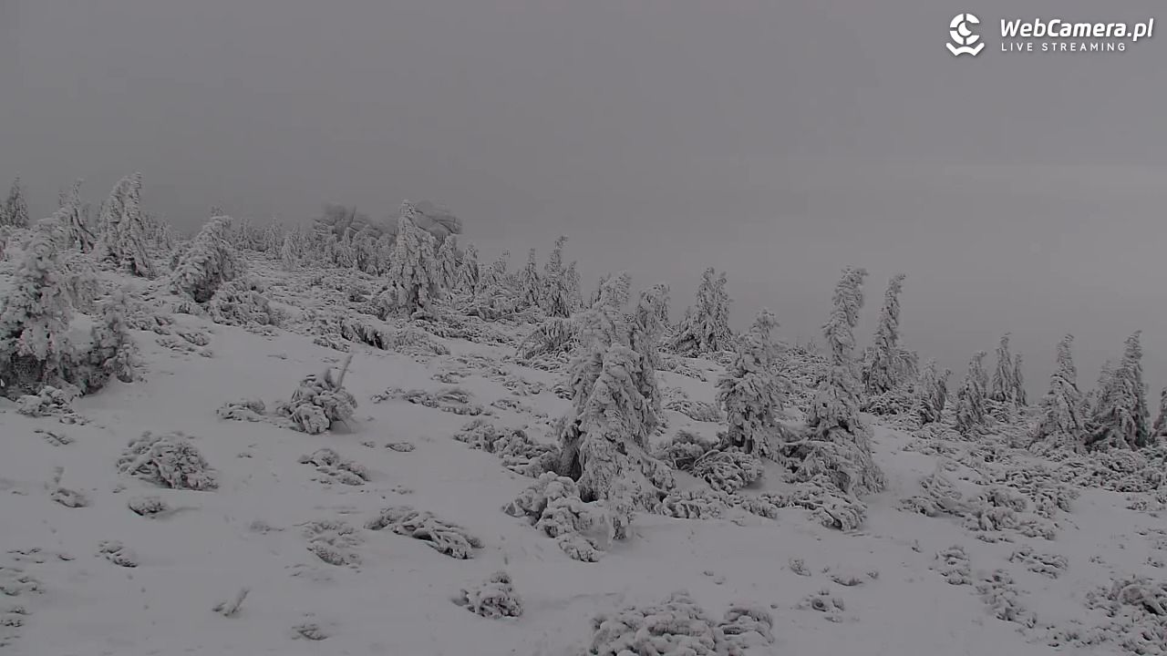 Szklarska Poręba widok ze Szrenicy - 31 styczeń 2026, 11:48