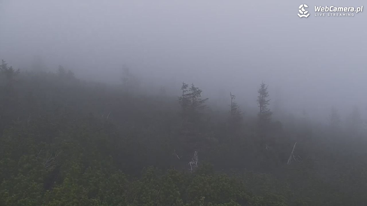 Szklarska Poręba - SZRENICA - 05 maj 2026, 19:57