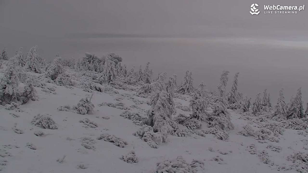 Szklarska Poręba widok ze Szrenicy - 31 styczeń 2026, 11:03