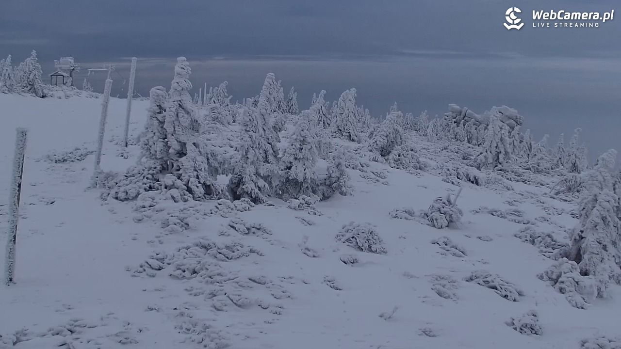 Szklarska Poręba widok ze Szrenicy - 31 styczeń 2026, 15:59