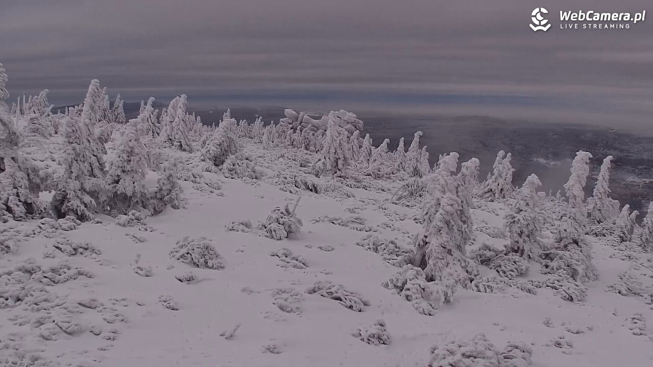 Szklarska Poręba widok ze Szrenicy - 01 luty 2026, 09:49