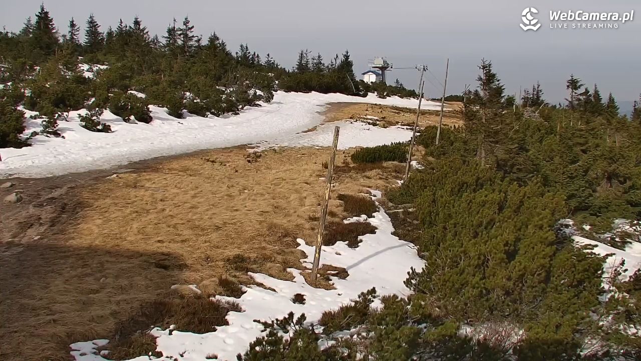 Szklarska Poręba - SZRENICA - 24 marzec 2026, 09:13