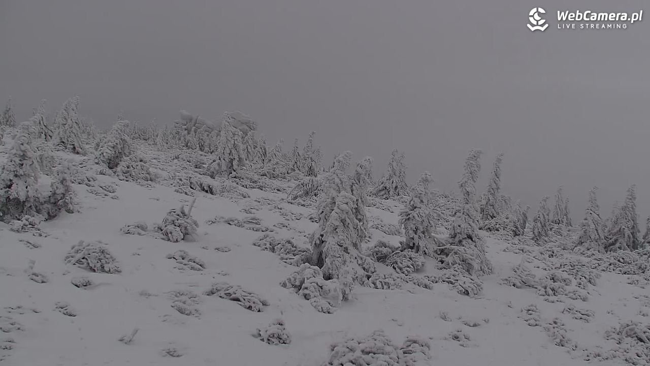 Szklarska Poręba widok ze Szrenicy - 31 styczeń 2026, 10:07