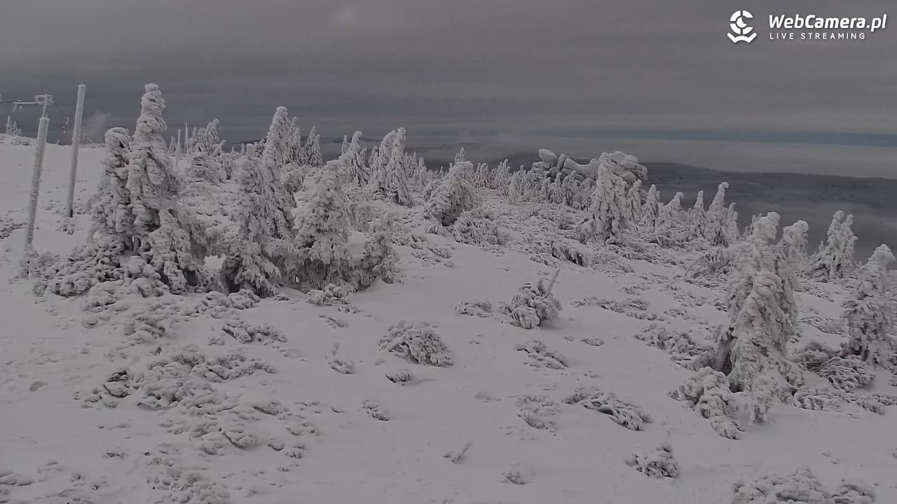 Szklarska Poręba widok ze Szrenicy - 01 luty 2026, 13:11