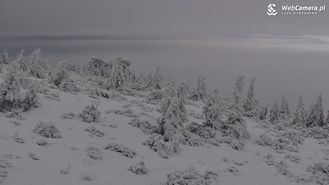 Szklarska Poręba widok ze Szrenicy - 31 styczeń 2026, 10:59