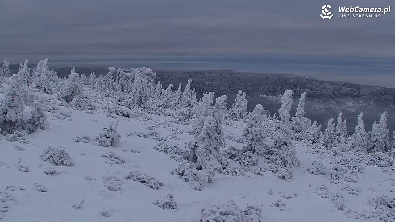 Szklarska Poręba widok ze Szrenicy - 01 luty 2026, 16:03