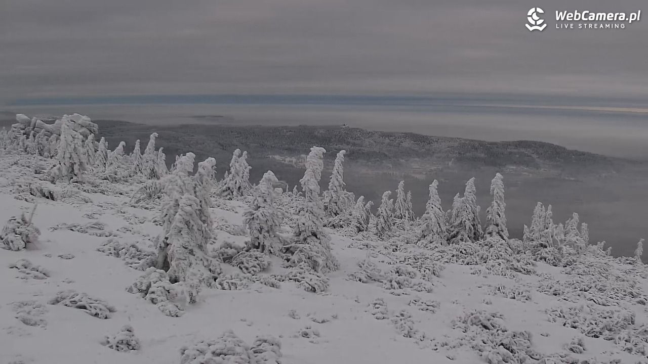 Szklarska Poręba widok ze Szrenicy - 01 luty 2026, 12:55
