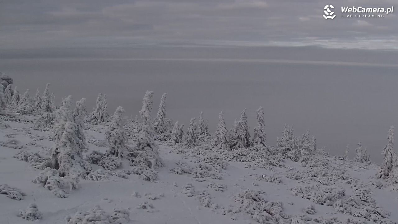 Szklarska Poręba widok ze Szrenicy - 31 styczeń 2026, 14:54