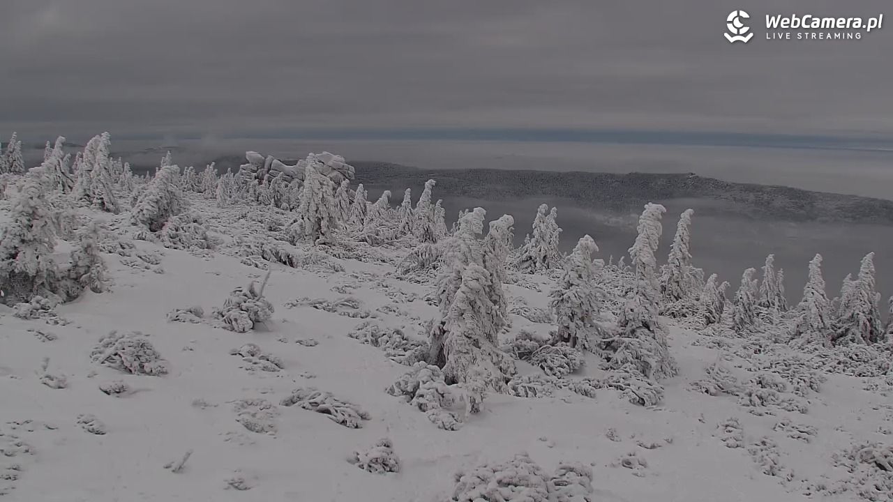 Szklarska Poręba widok ze Szrenicy - 01 luty 2026, 13:11