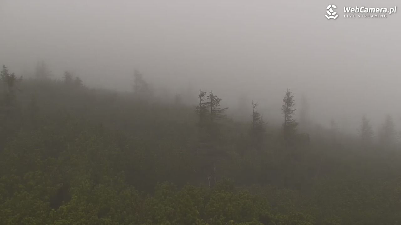 Szklarska Poręba - SZRENICA - 08 maj 2026, 12:06