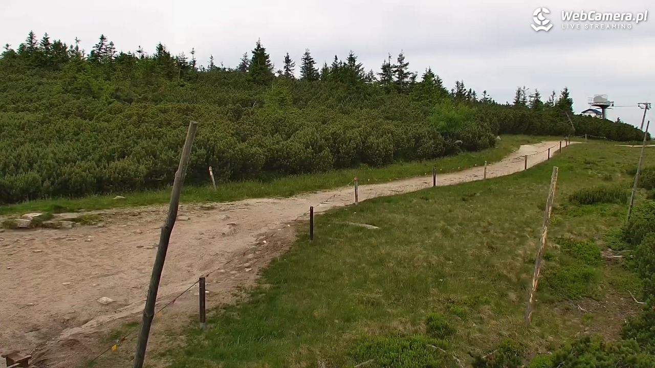 Szklarska Poręba - SZRENICA - 23 czerwiec 2026, 09:31