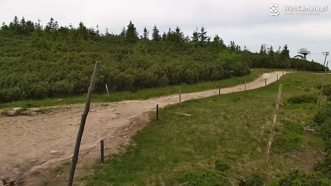 Szklarska Poręba - SZRENICA - 23 czerwiec 2026, 09:31
