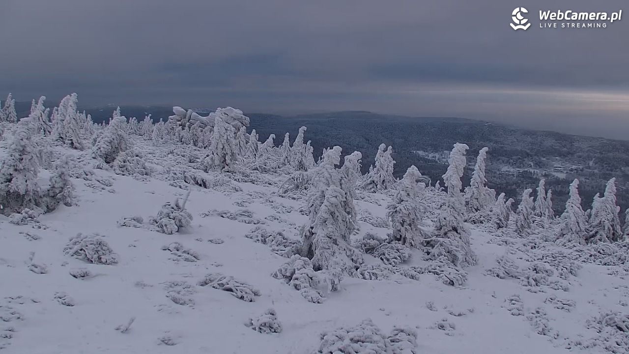 Szklarska Poręba widok ze Szrenicy - 01 luty 2026, 08:10