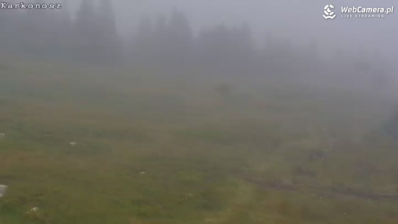 Ski Arena Szrenica - Sudety Lift - Karkonosz Express - 23 lipiec 2026, 10:29