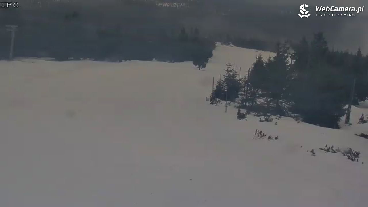 Ski Arena Szrenica - Sudety Lift - Karkonosz Express - 23 styczeń 2026, 15:13