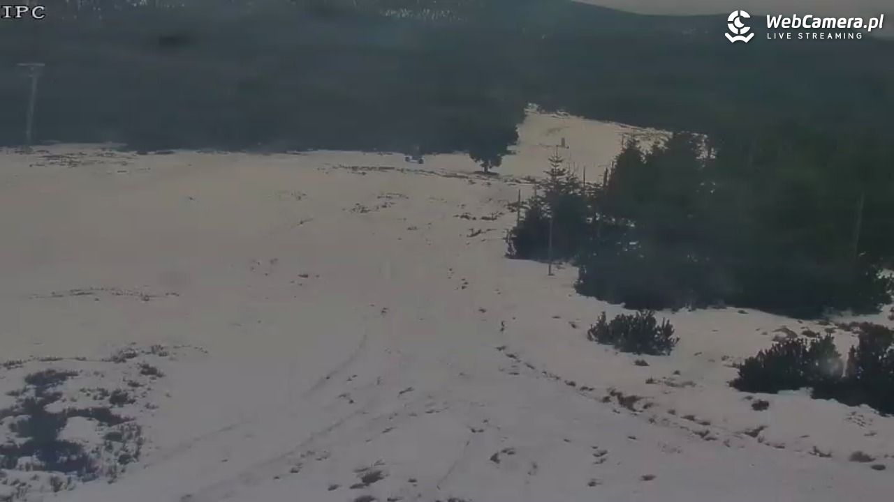 Ski Arena Szrenica - Sudety Lift - Karkonosz Express - 03 grudzień 2025, 14:16