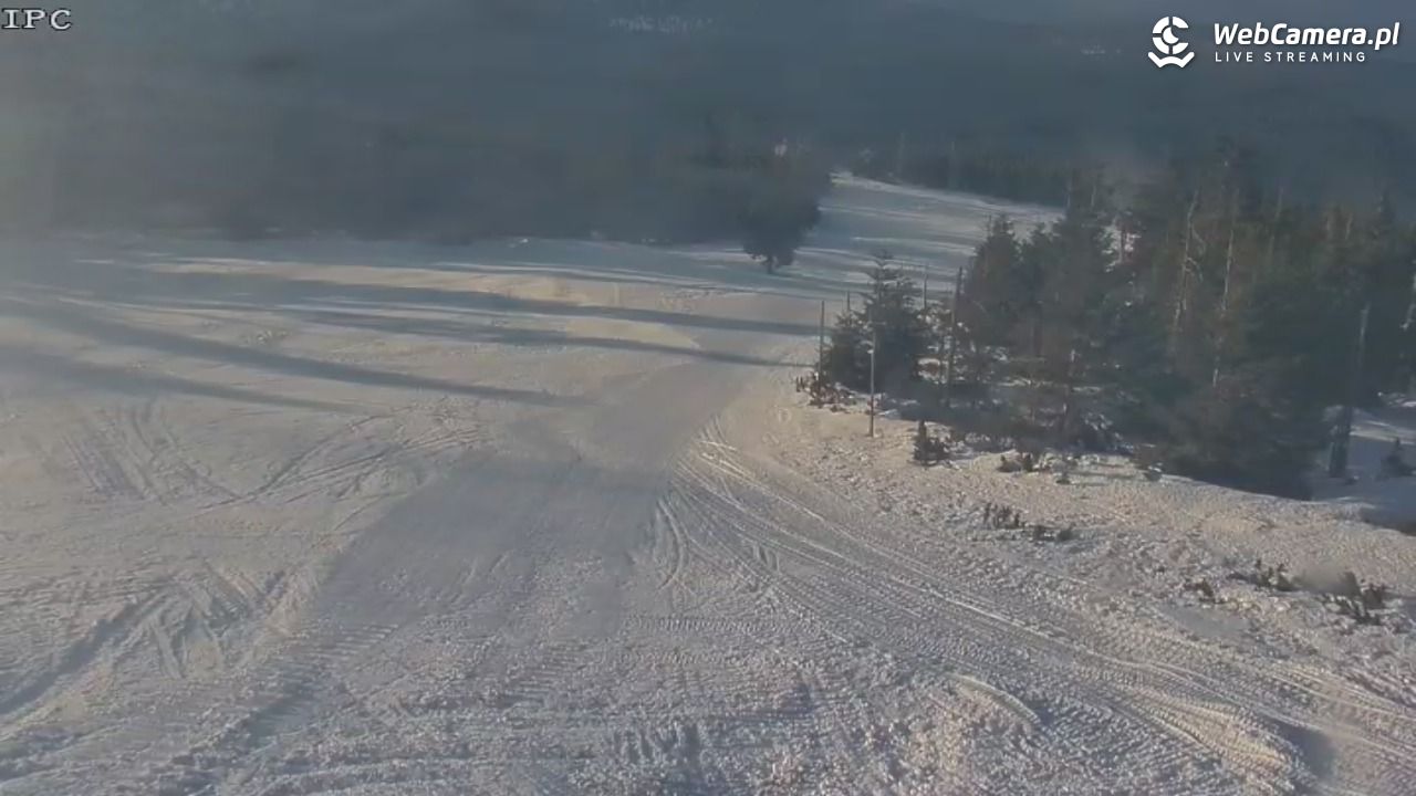 Ski Arena Szrenica - Sudety Lift - Karkonosz Express - 22 styczeń 2026, 14:33