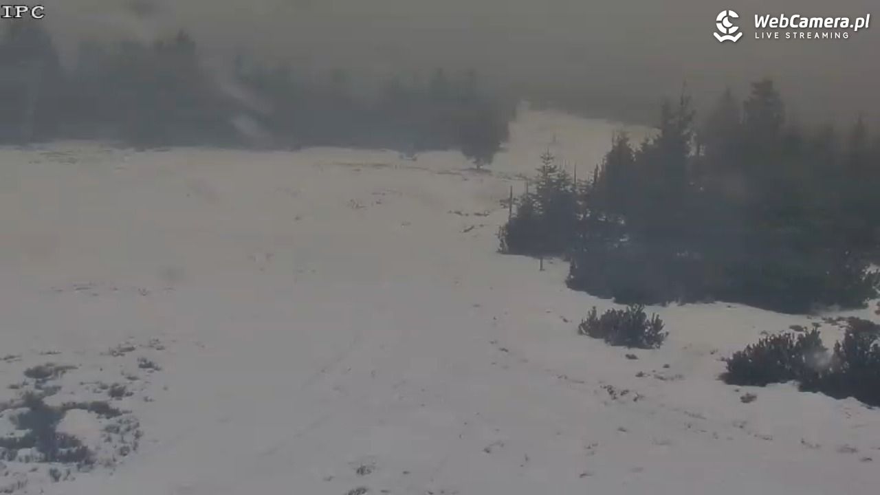 Ski Arena Szrenica - Sudety Lift - Karkonosz Express - 05 grudzień 2025, 11:06