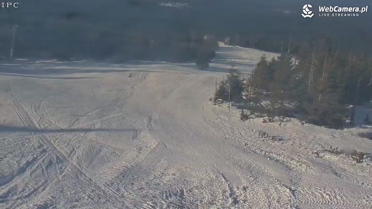 Ski Arena Szrenica - Sudety Lift - Karkonosz Express - 20 styczeń 2026, 12:32