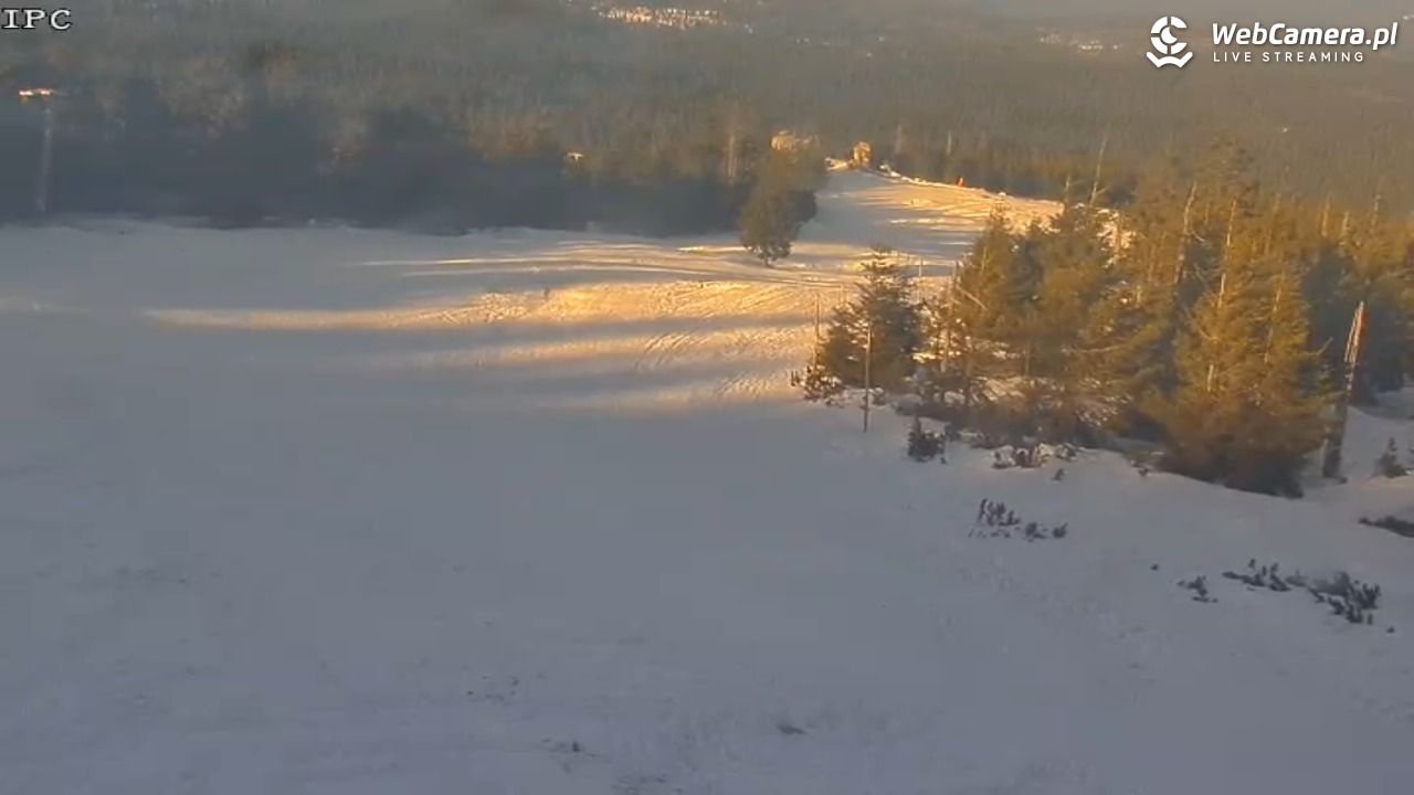 Ski Arena Szrenica - Sudety Lift - Karkonosz Express - 20 styczeń 2026, 10:37