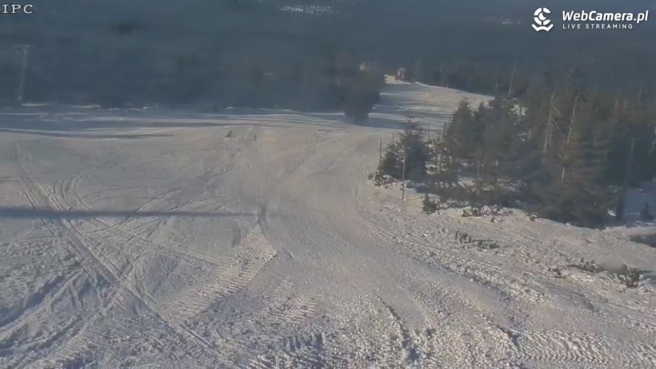 Ski Arena Szrenica - Sudety Lift - Karkonosz Express - 20 styczeń 2026, 12:23