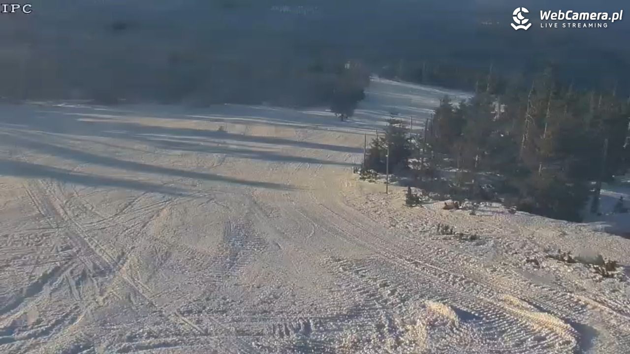 Ski Arena Szrenica - Sudety Lift - Karkonosz Express - 21 styczeń 2026, 14:44