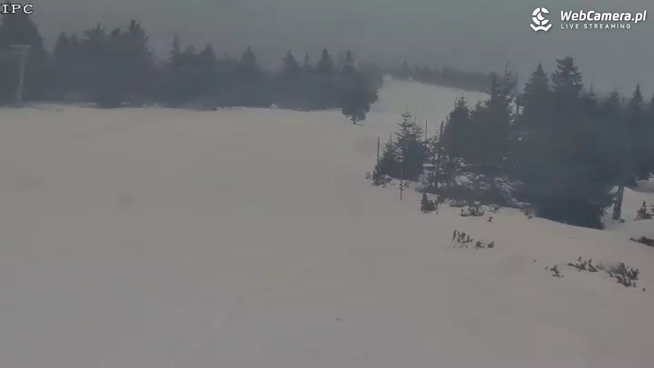 Ski Arena Szrenica - Sudety Lift - Karkonosz Express - 23 styczeń 2026, 08:46