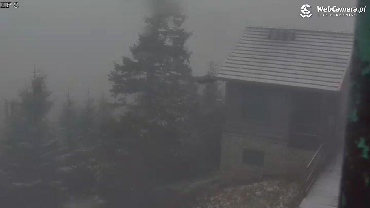 Ski Arena Szrenica - Sudety Lift - Karkonosz Express - 15 maj 2025, 07:27
