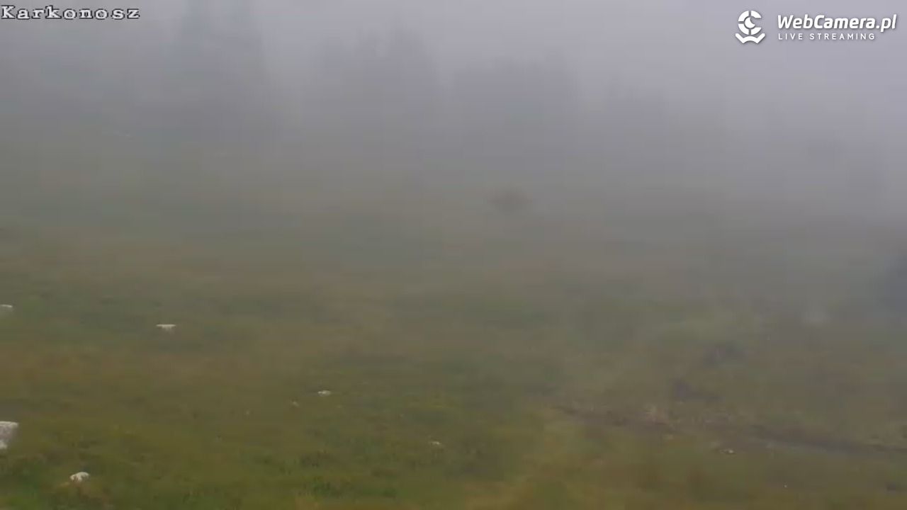 Ski Arena Szrenica - Sudety Lift - Karkonosz Express - 24 lipiec 2026, 09:24