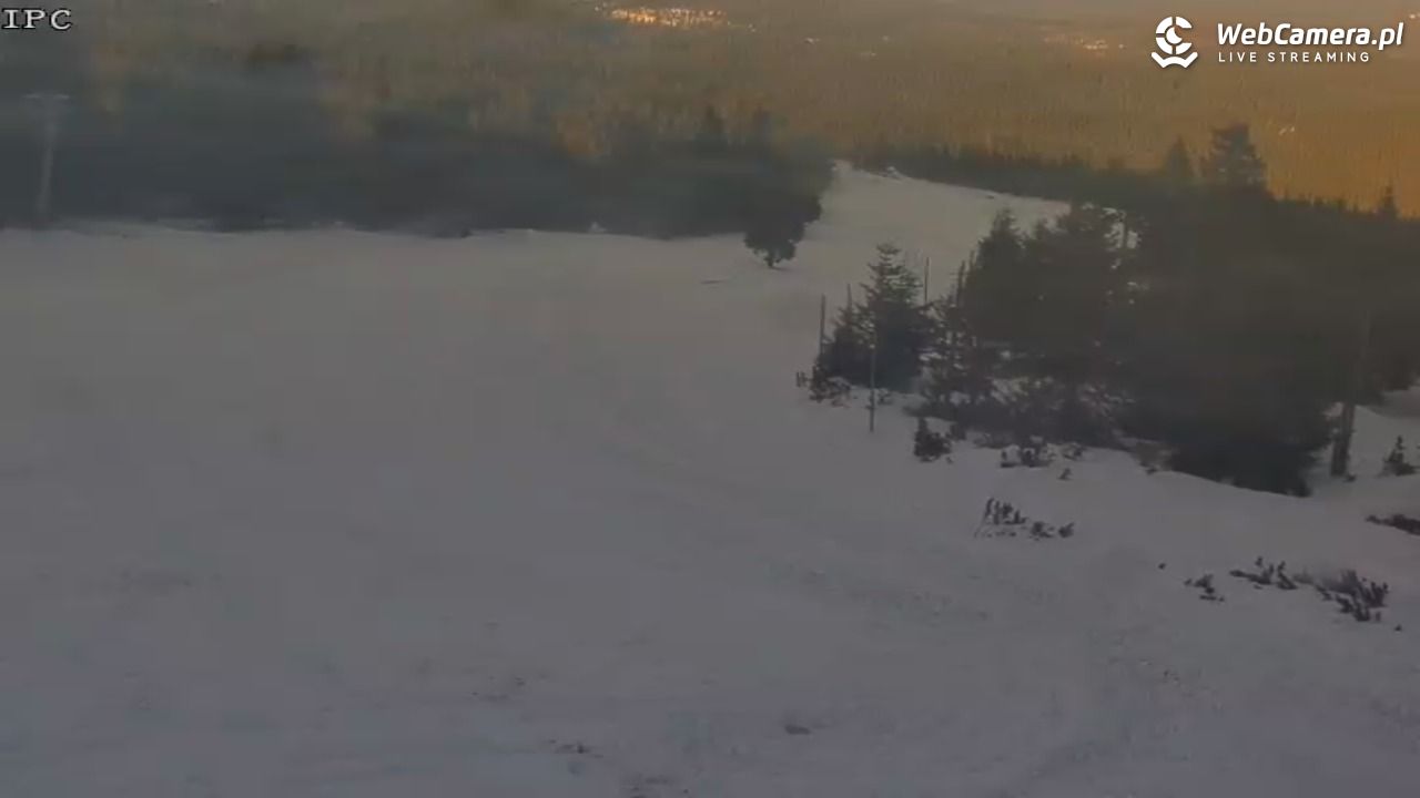 Ski Arena Szrenica - Sudety Lift - Karkonosz Express - 20 styczeń 2026, 09:39