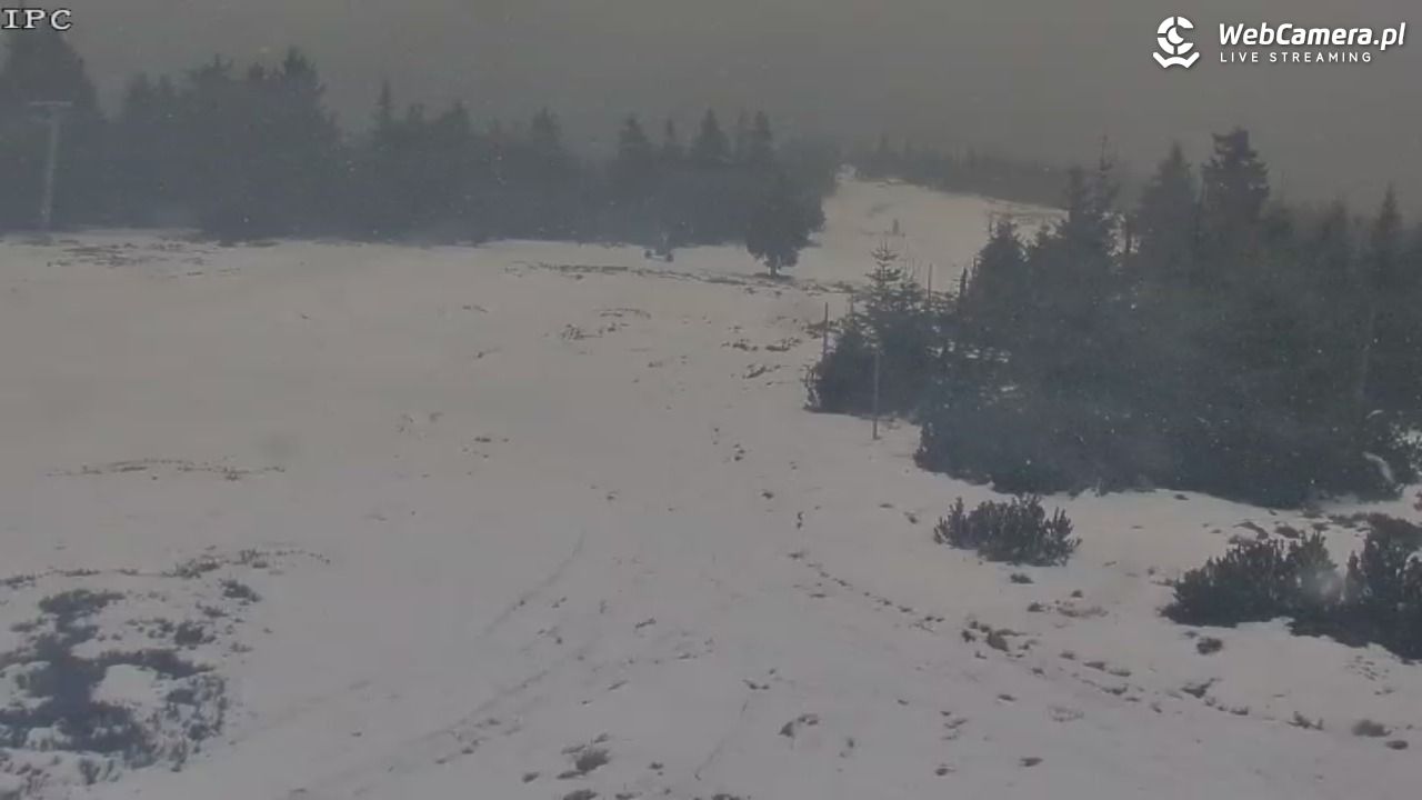 Ski Arena Szrenica - Sudety Lift - Karkonosz Express - 01 grudzień 2025, 11:25