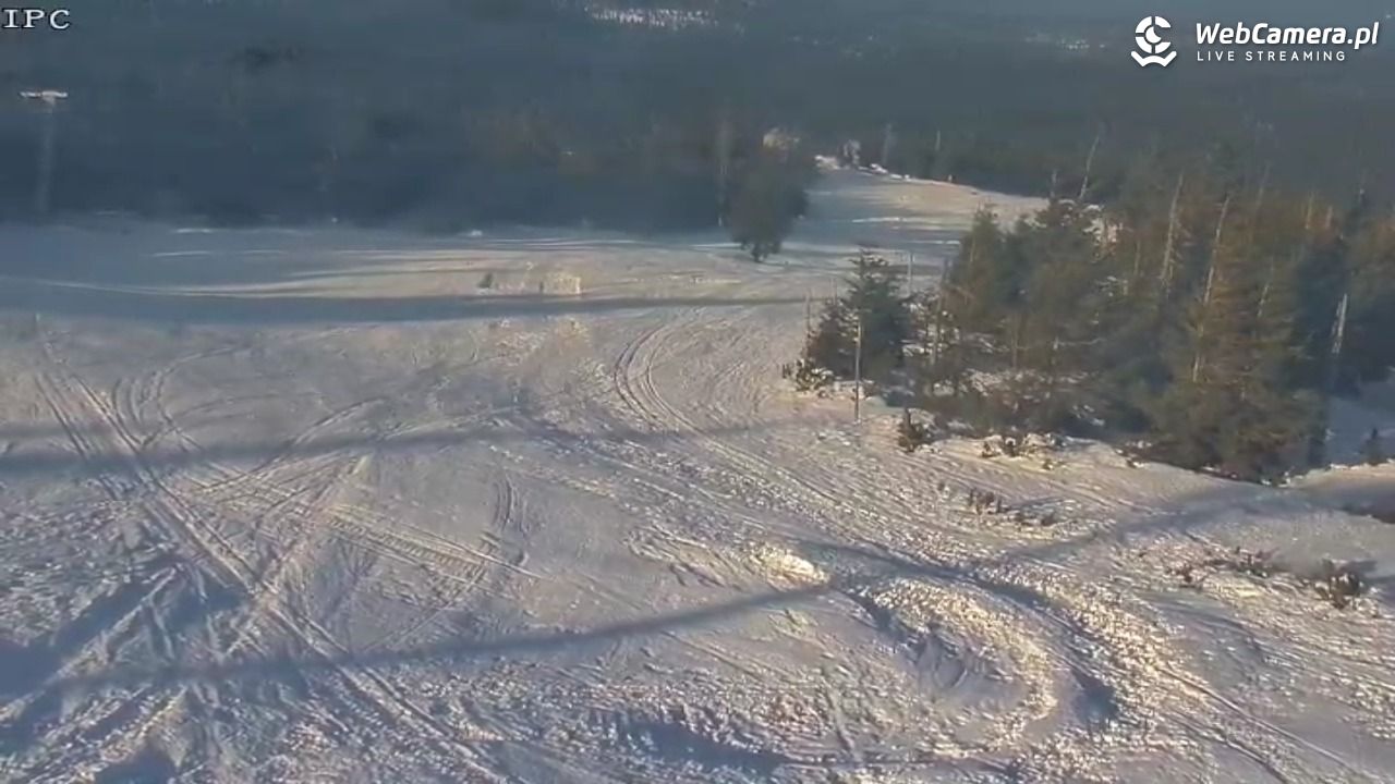 Ski Arena Szrenica - Sudety Lift - Karkonosz Express - 19 styczeń 2026, 11:02