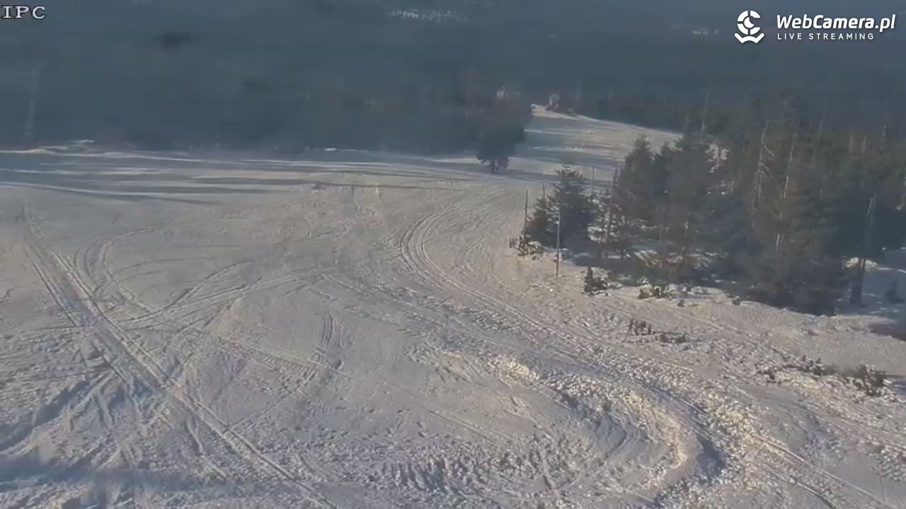 Ski Arena Szrenica - Sudety Lift - Karkonosz Express - 19 styczeń 2026, 13:11