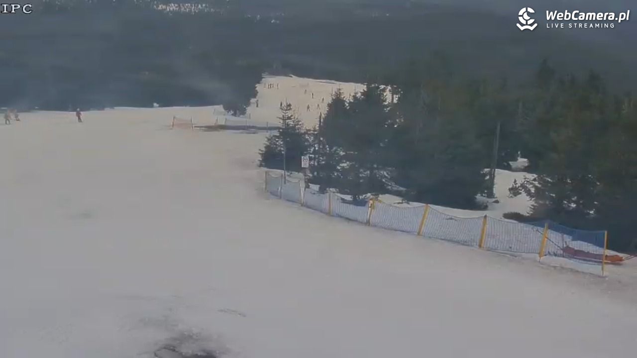 Ski Arena Szrenica - Sudety Lift - Karkonosz Express - 08 marzec 2026, 09:34