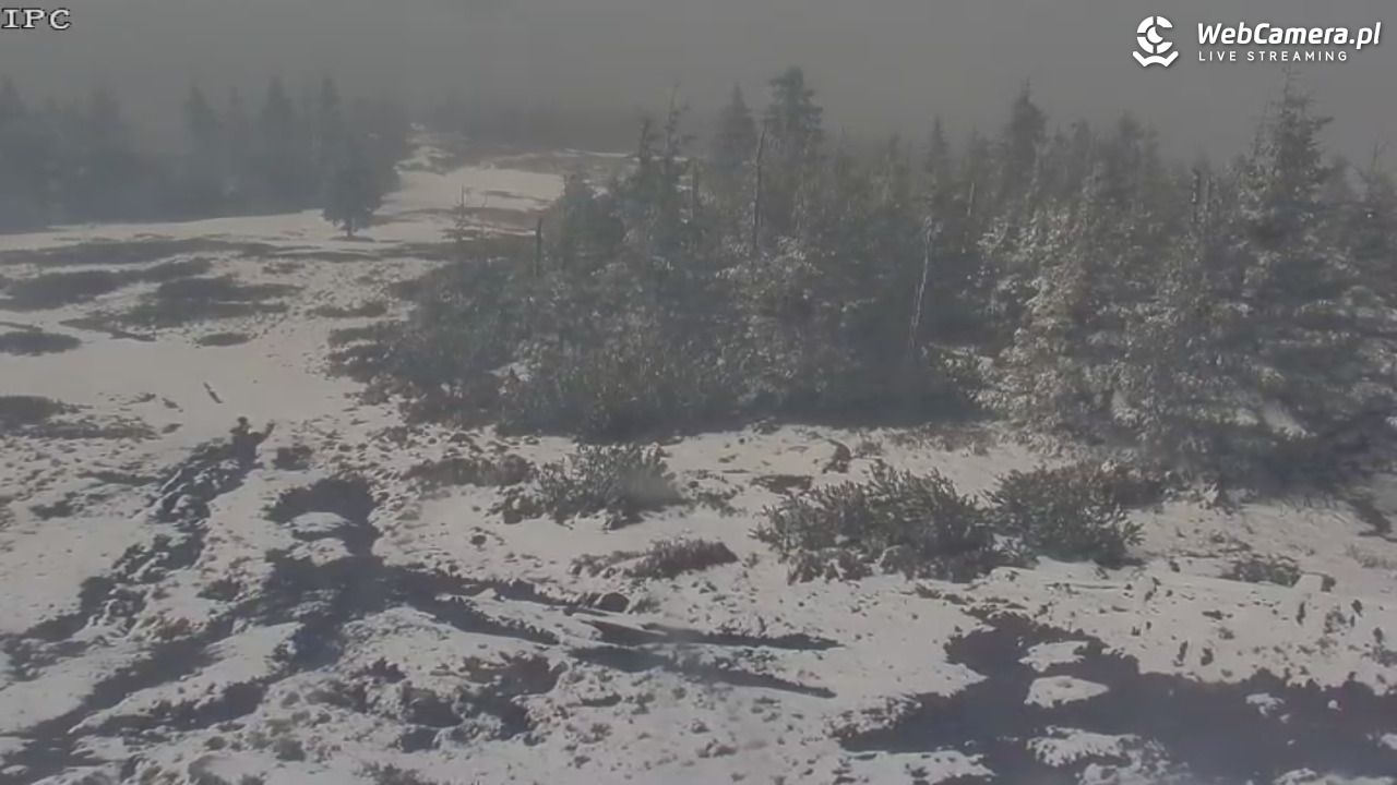 Ski Arena Szrenica - Sudety Lift - Karkonosz Express - 20 kwiecień 2026, 12:51