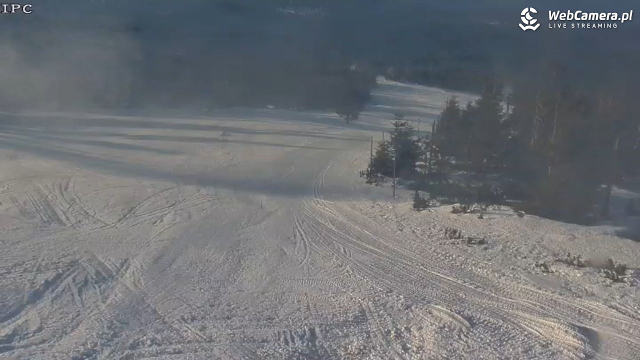 Ski Arena Szrenica - Sudety Lift - Karkonosz Express - 22 styczeń 2026, 13:57