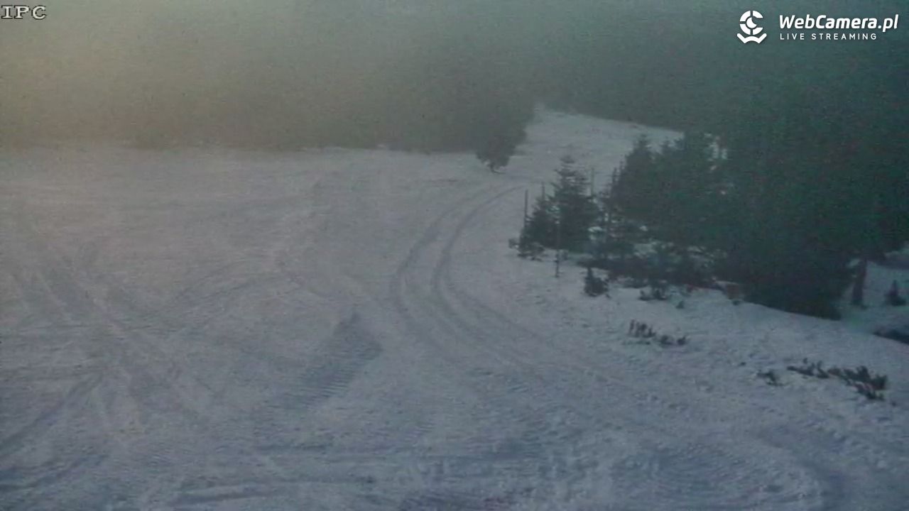 Ski Arena Szrenica - Sudety Lift - Karkonosz Express - 21 styczeń 2026, 17:12