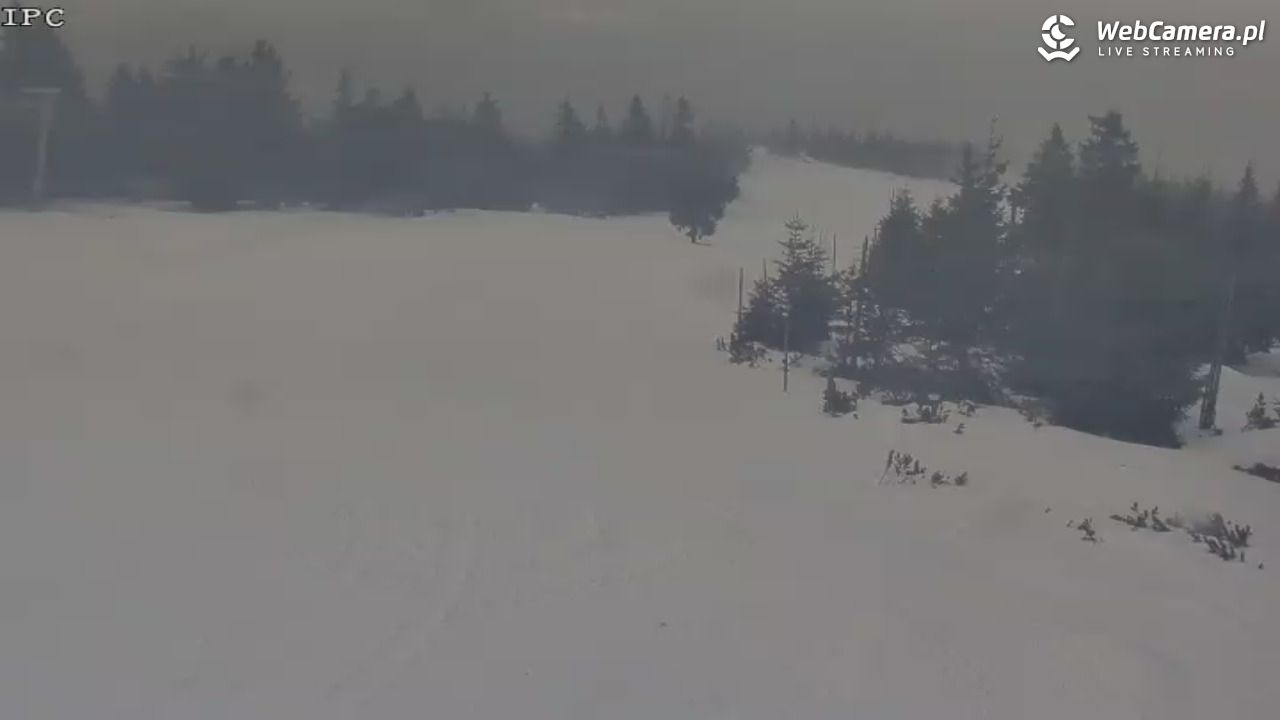 Ski Arena Szrenica - Sudety Lift - Karkonosz Express - 23 styczeń 2026, 11:23