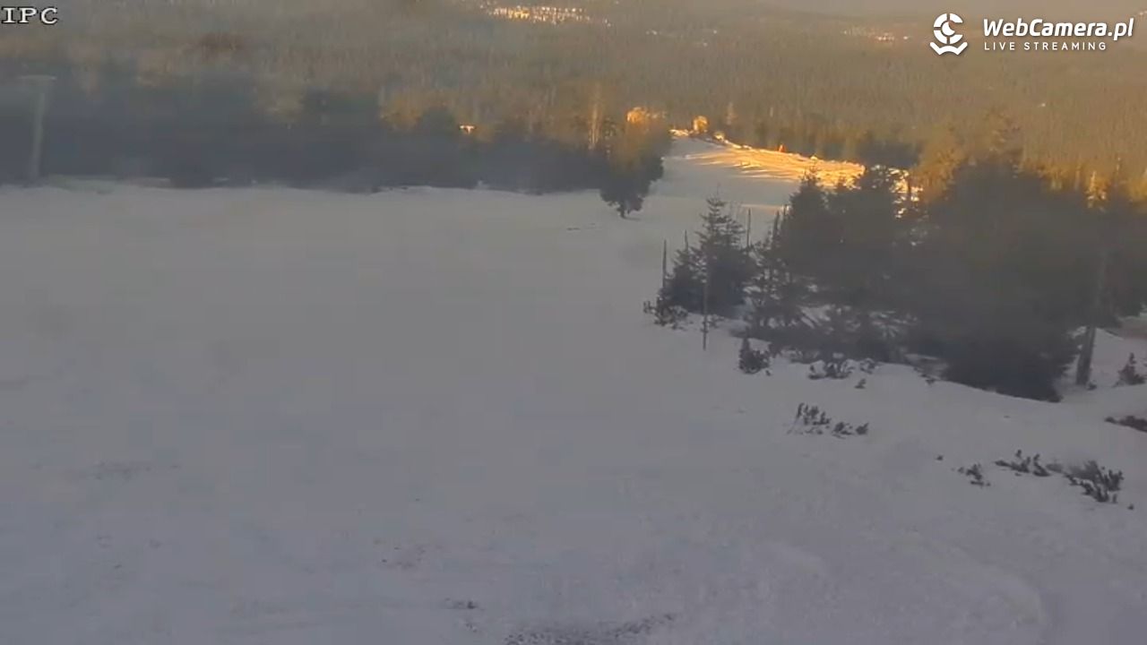 Ski Arena Szrenica - Sudety Lift - Karkonosz Express - 21 styczeń 2026, 10:13