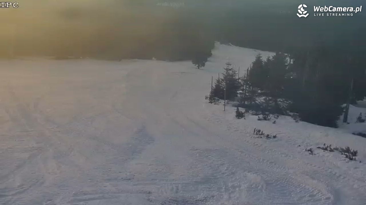 Ski Arena Szrenica - Sudety Lift - Karkonosz Express - 21 styczeń 2026, 16:51