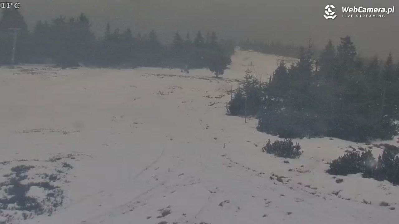 Ski Arena Szrenica - Sudety Lift - Karkonosz Express - 01 grudzień 2025, 11:25
