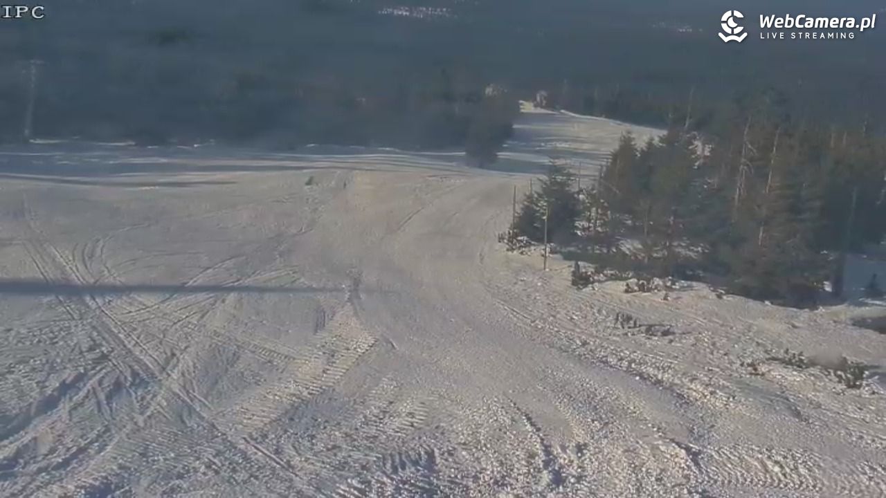 Ski Arena Szrenica - Sudety Lift - Karkonosz Express - 20 styczeń 2026, 12:23