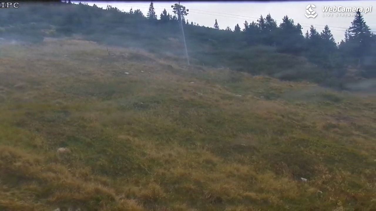 Ski Arena Szrenica - Sudety Lift - Karkonosz Express - 27 sierpień 2025, 11:32