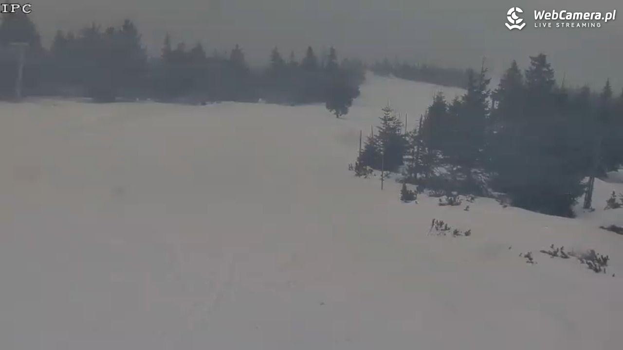 Ski Arena Szrenica - Sudety Lift - Karkonosz Express - 23 styczeń 2026, 09:00