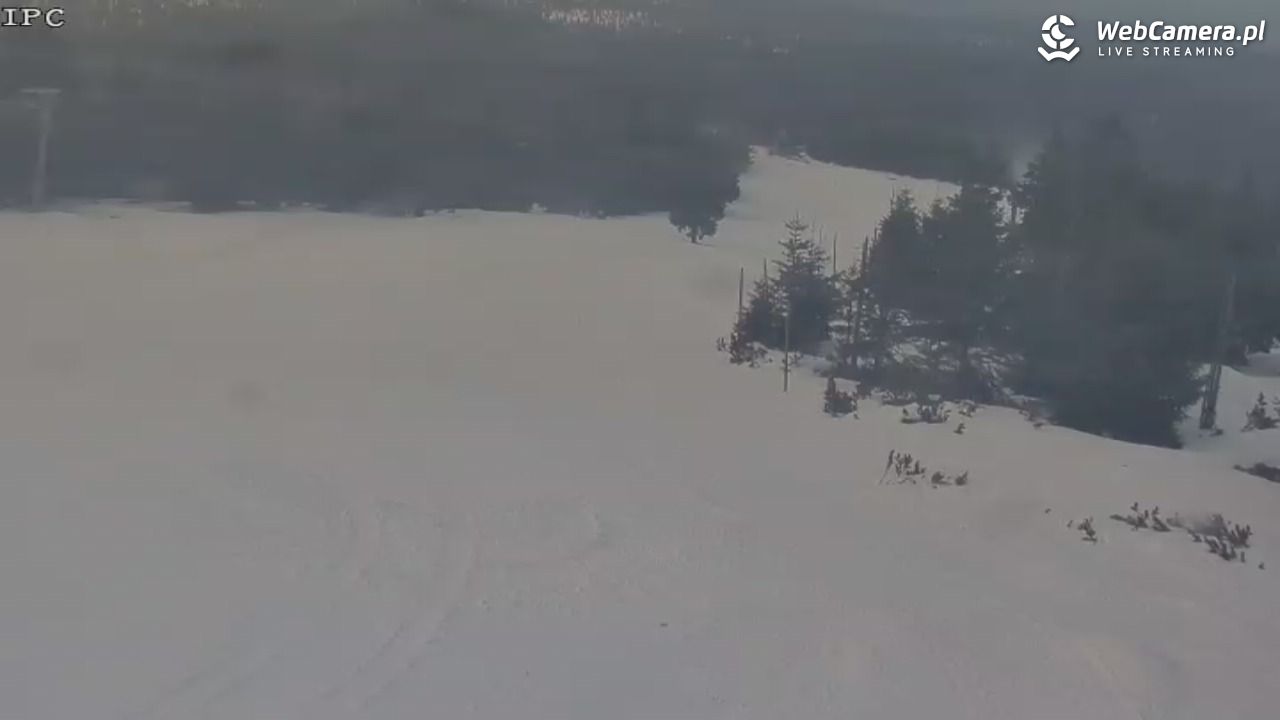 Ski Arena Szrenica - Sudety Lift - Karkonosz Express - 23 styczeń 2026, 13:00